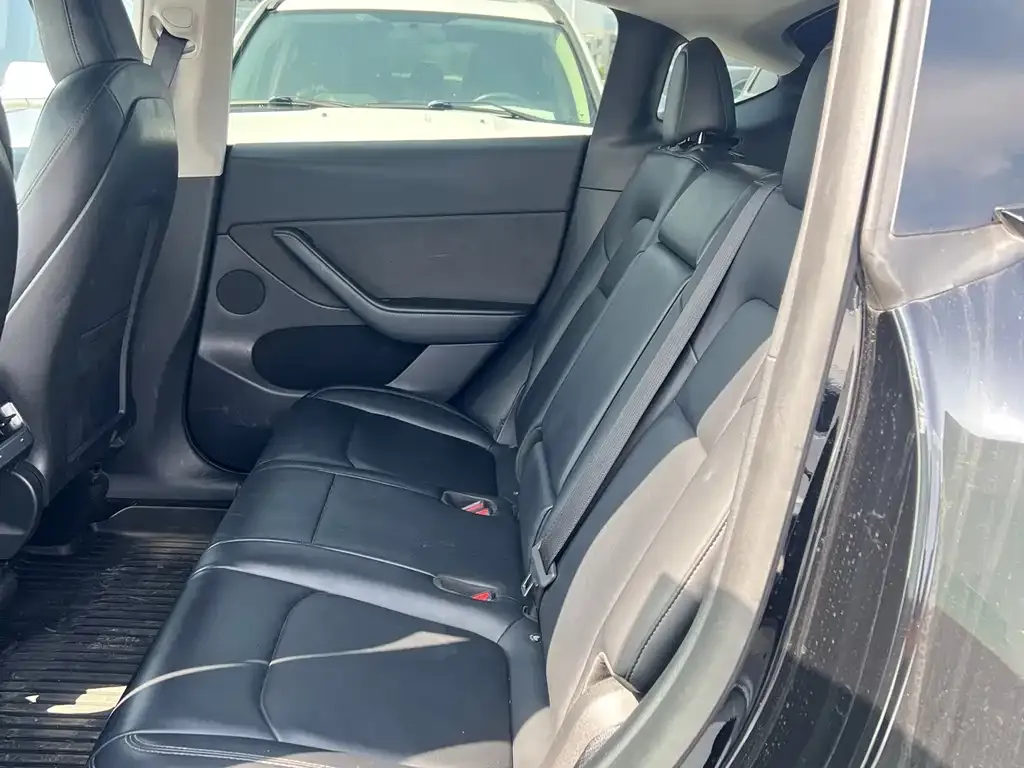 Tesla Model Y 2021 из CN, фото 9