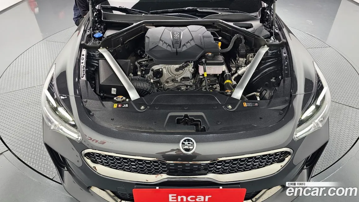 [object Object] Stinger 2021 из KR, фото 6