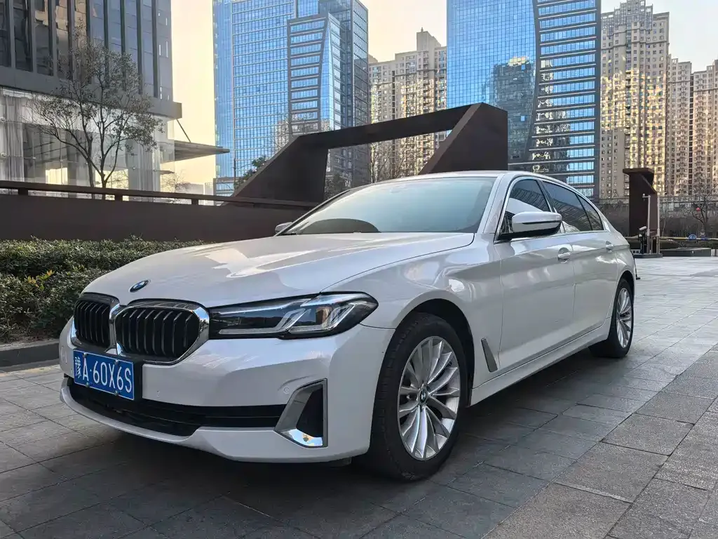 BMW 5 Series 2021 из CN, фото 1