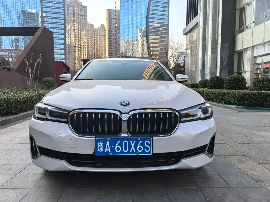 BMW 5 Series 2021 из CN, фото 2