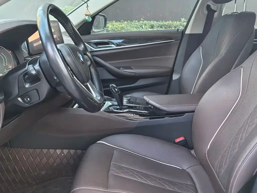 BMW 5 Series 2021 из CN, фото 6