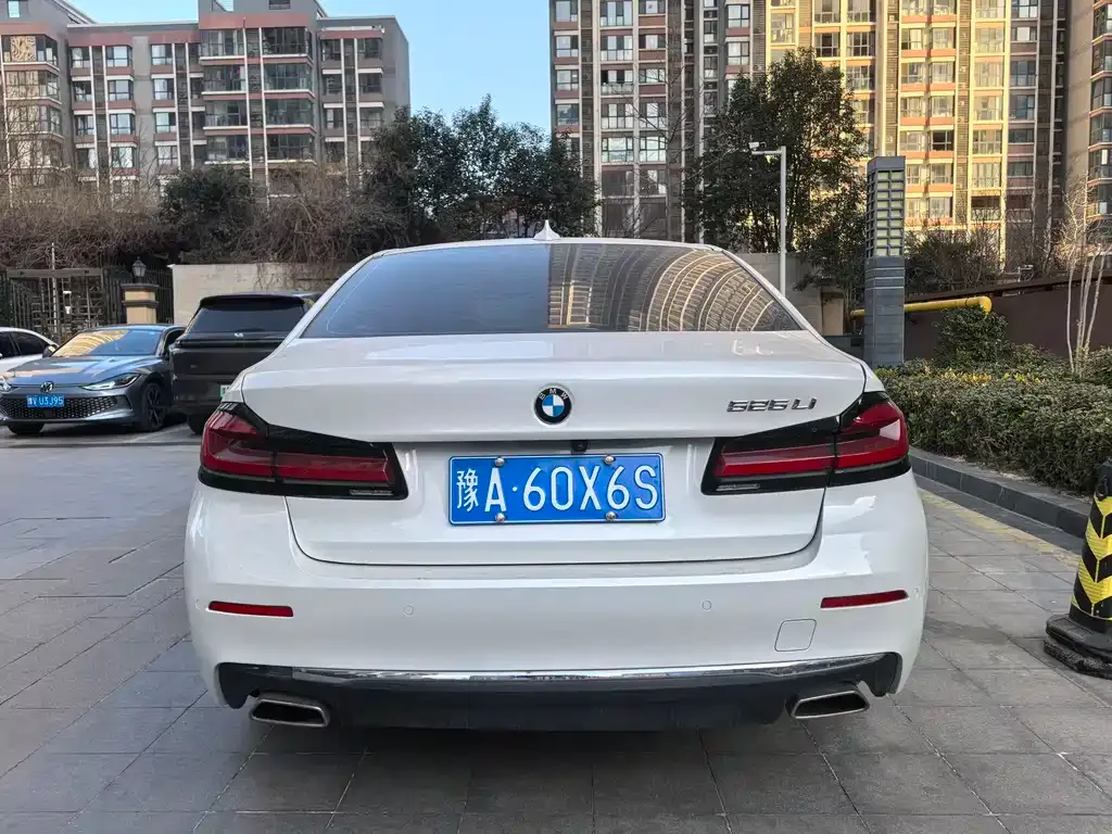 BMW 5 Series 2021 из CN, фото 7