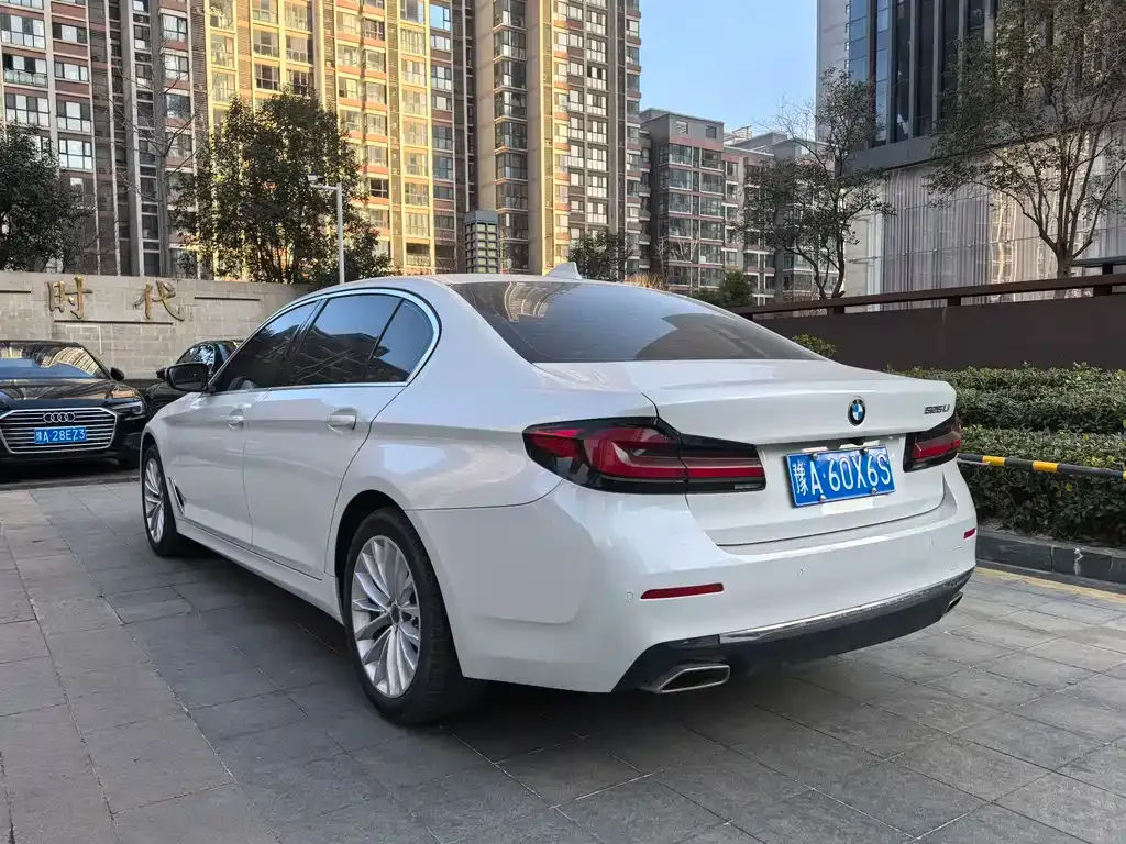 BMW 5 Series 2021 из CN, фото 8