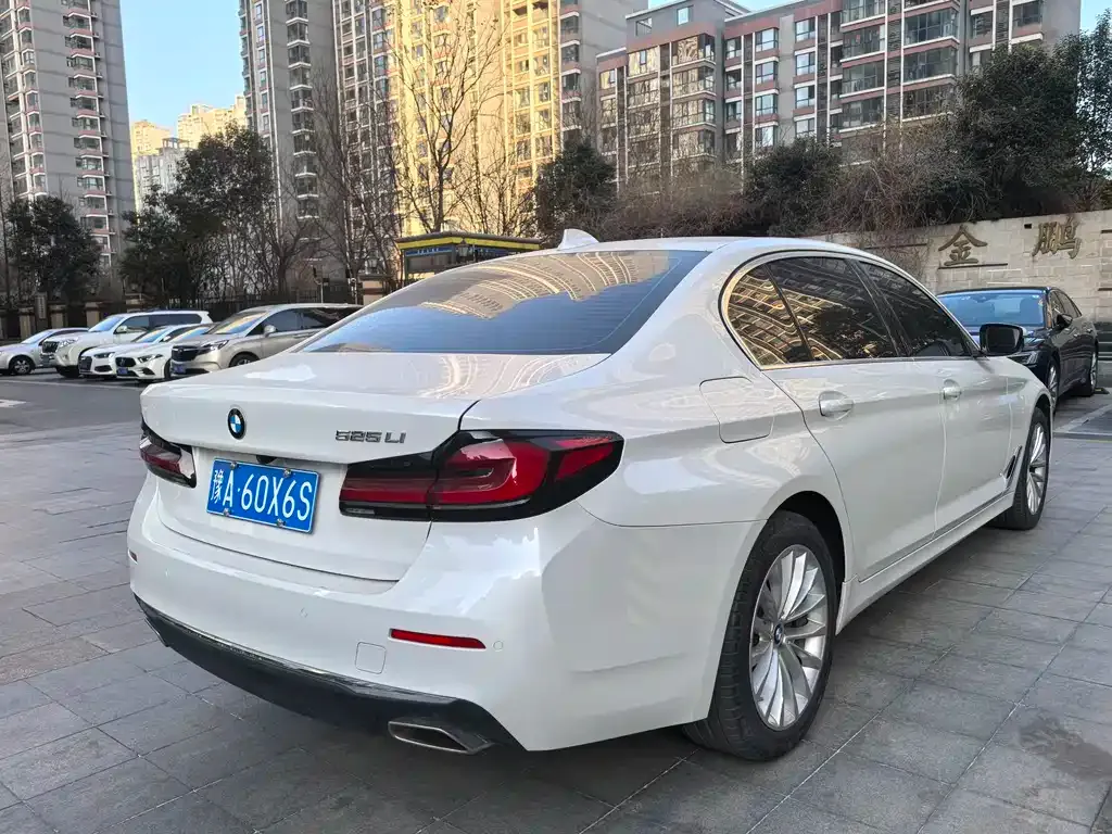 BMW 5 Series 2021 из CN, фото 9