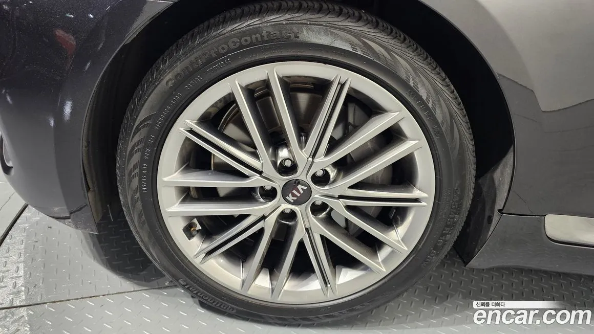 [object Object] K9 2021 из KR, фото 5