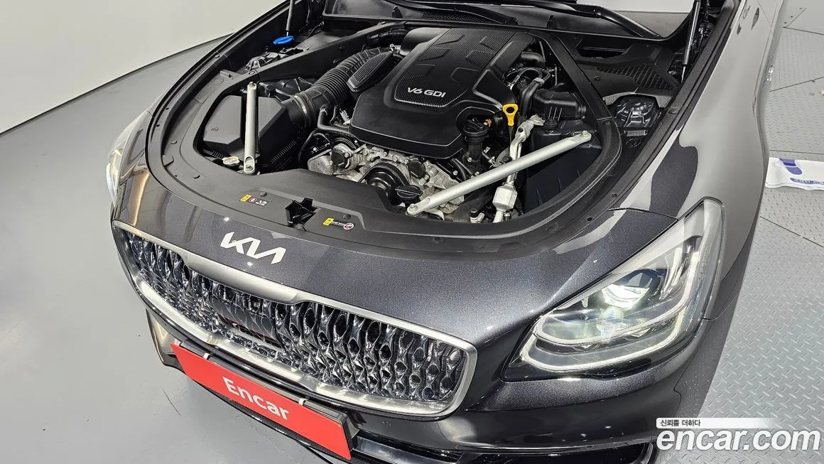 [object Object] K9 2021 из KR, фото 6