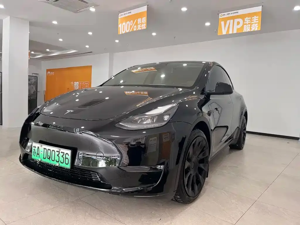Tesla Model Y 2021 из CN, фото 1