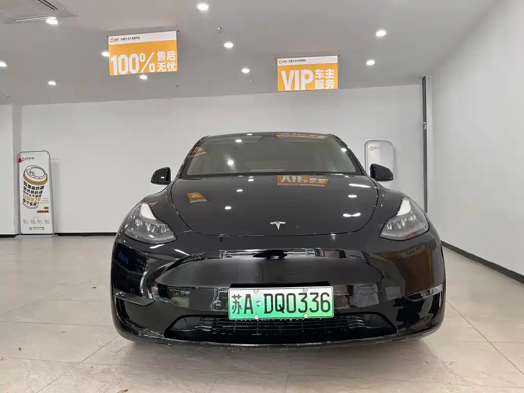 Tesla Model Y 2021 из CN, фото 2