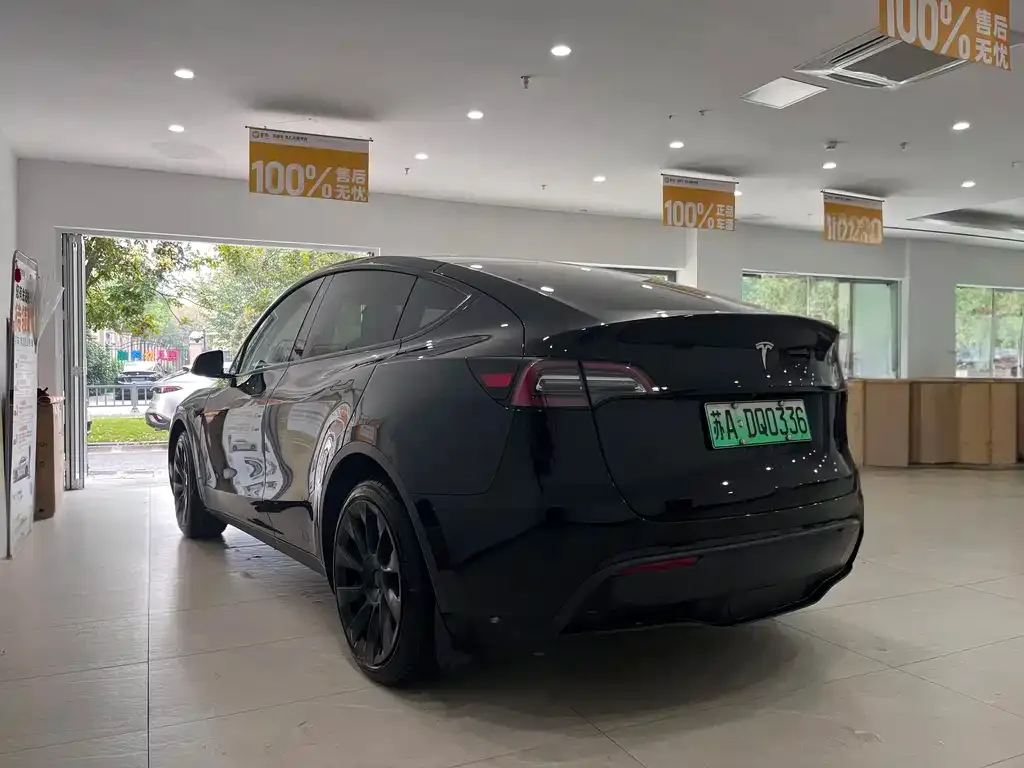 Tesla Model Y 2021 из CN, фото 3