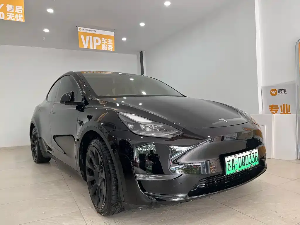 Tesla Model Y 2021 из CN, фото 4