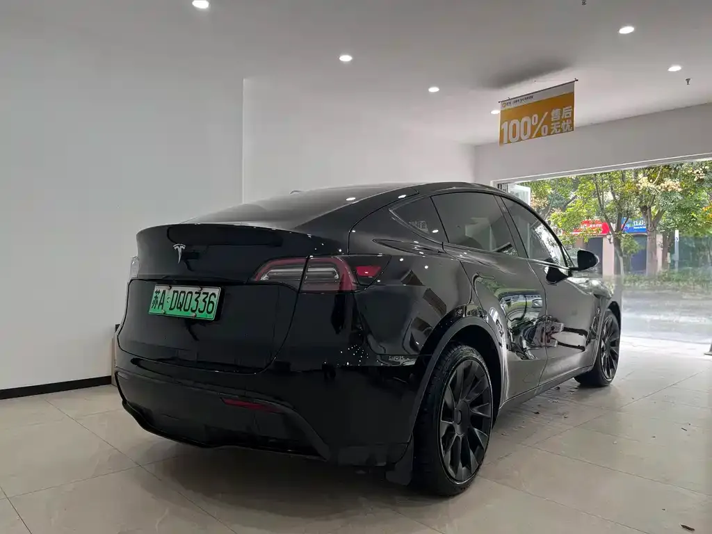 Tesla Model Y 2021 из CN, фото 5