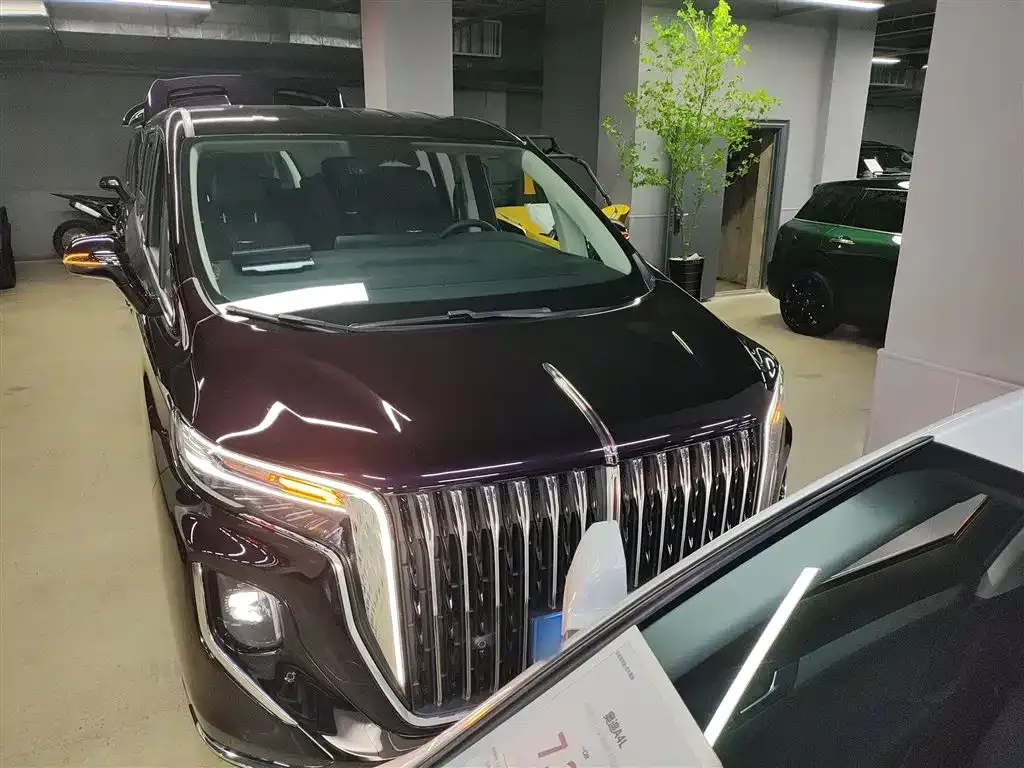 Hongqi HQ9 2023 из CN, фото 3