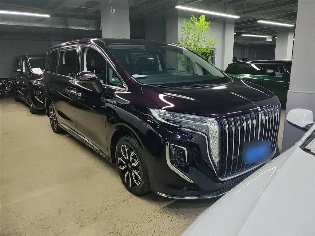 Hongqi HQ9 2023 из CN, фото 4