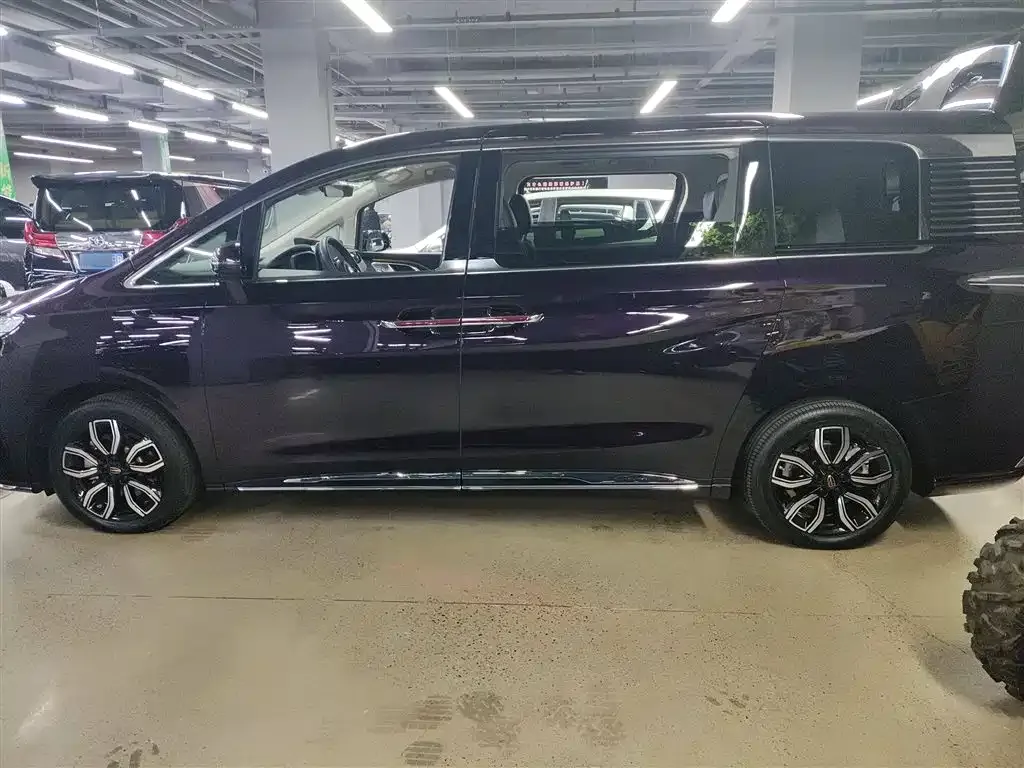 Hongqi HQ9 2023 из CN, фото 5