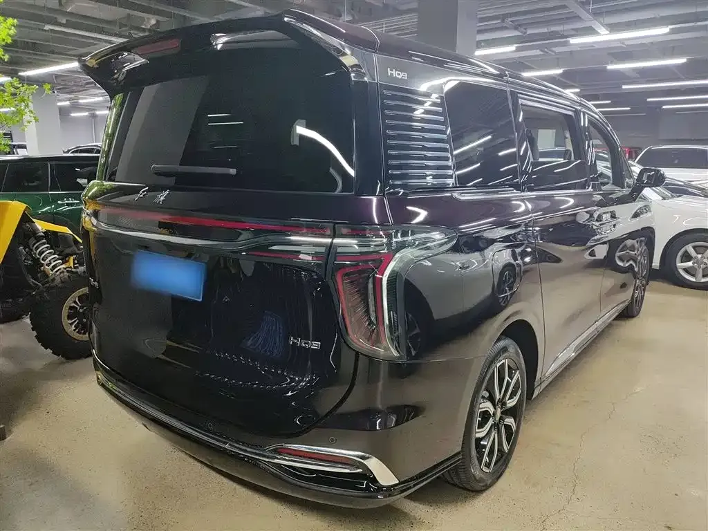 Hongqi HQ9 2023 из CN, фото 7