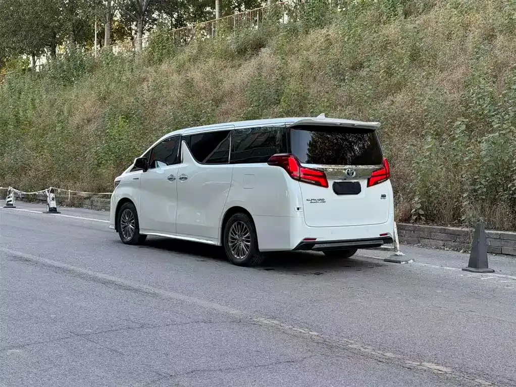 Toyota Alphard — фото 8