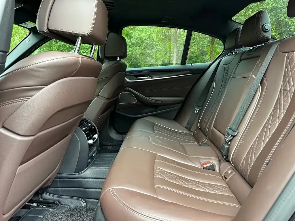 BMW 5 Series (Import) 2021 из CN, фото 7