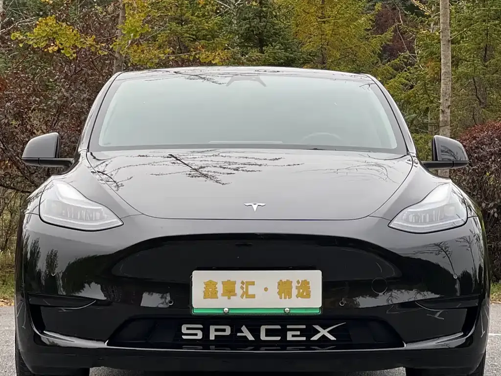 Tesla Model Y — фото 1