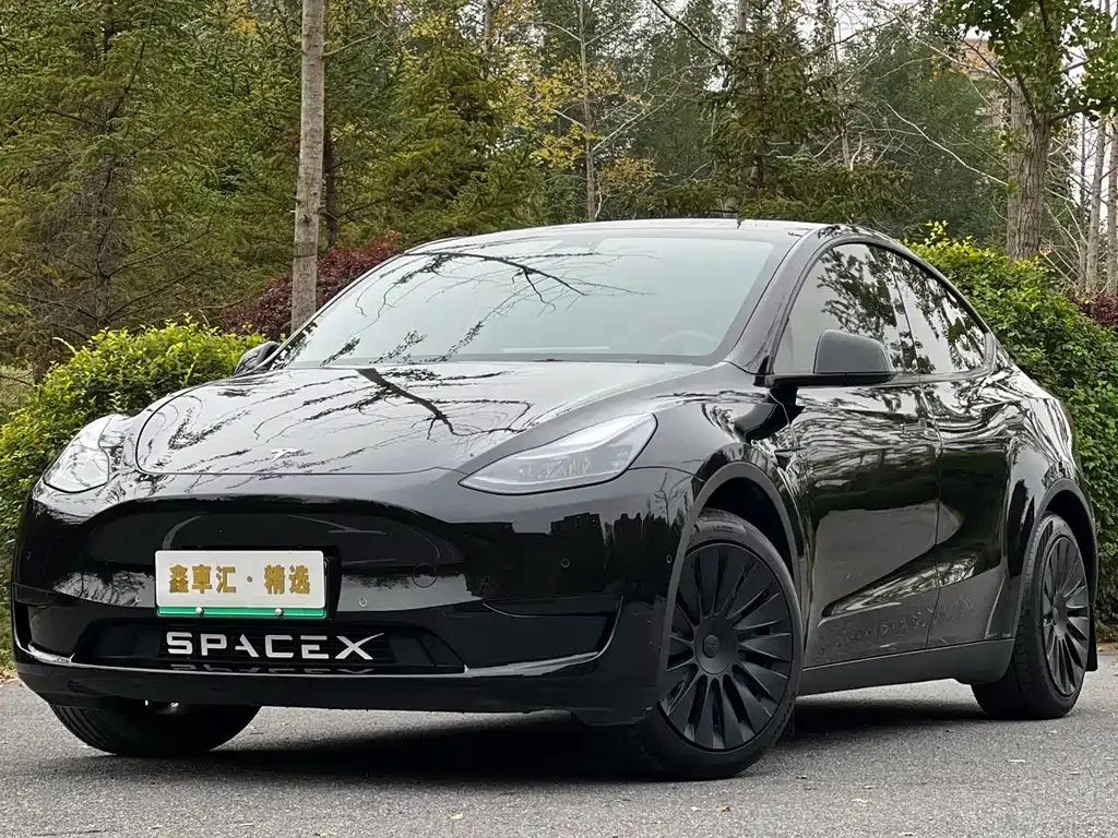 Tesla Model Y — фото 2
