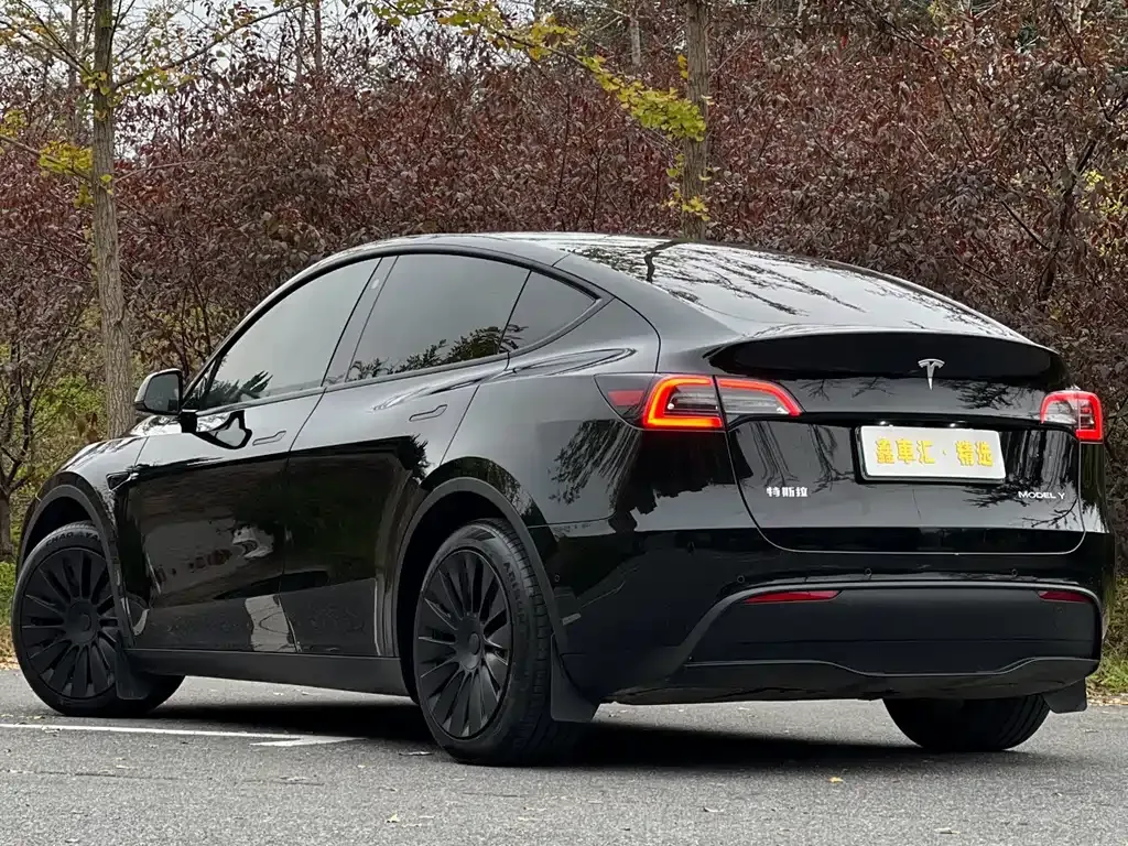 Tesla Model Y — фото 4