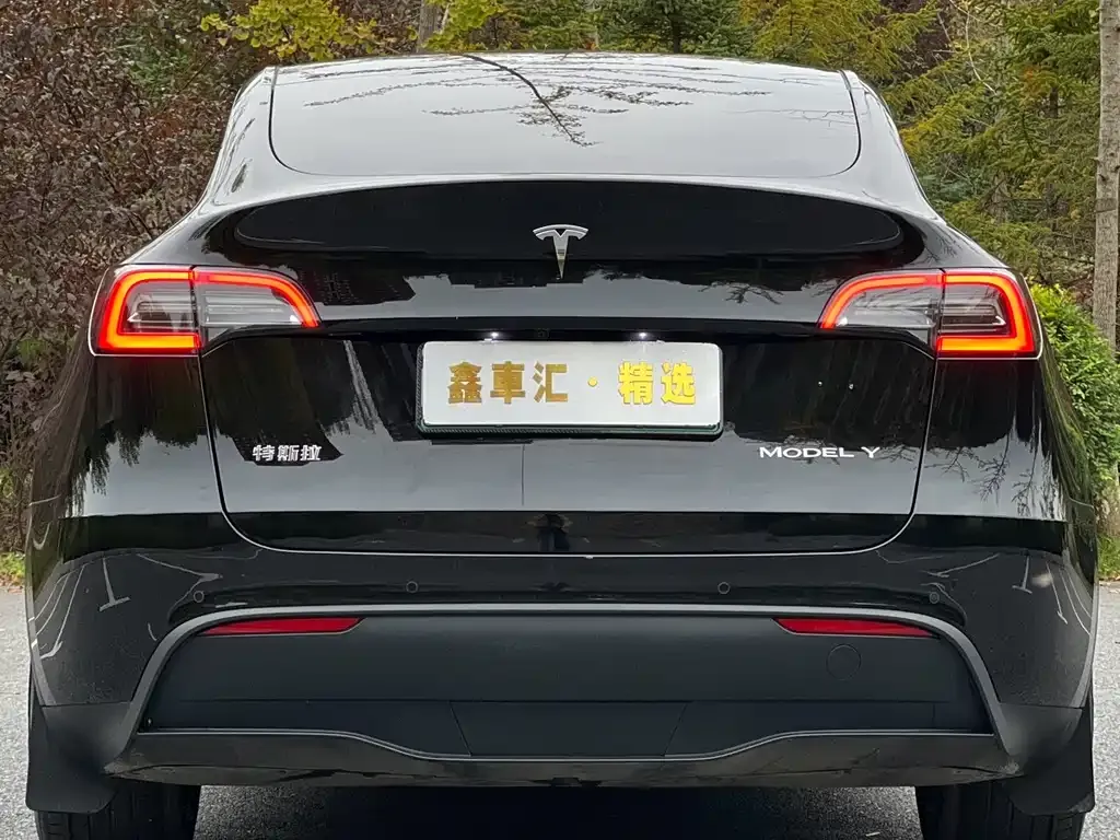 Tesla Model Y — фото 5