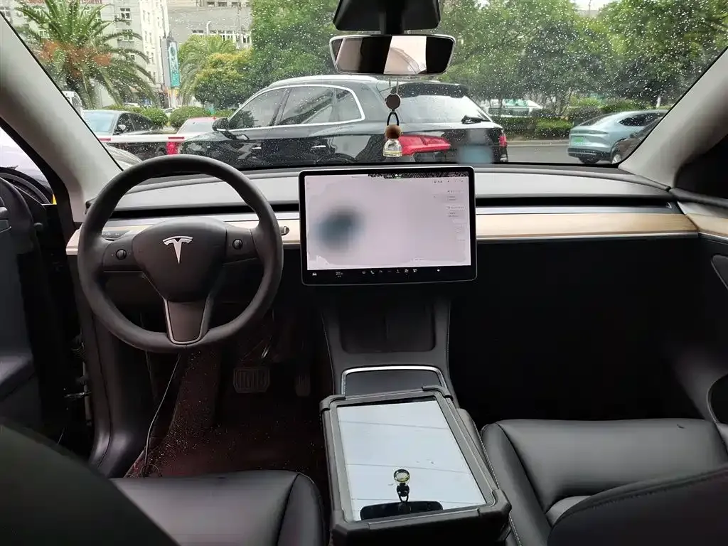 [object Object] Model Y 2021 из CN, фото 10