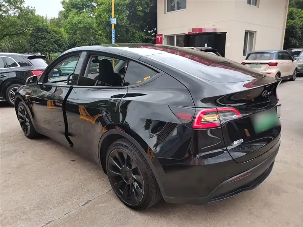 [object Object] Model Y 2021 из CN, фото 5