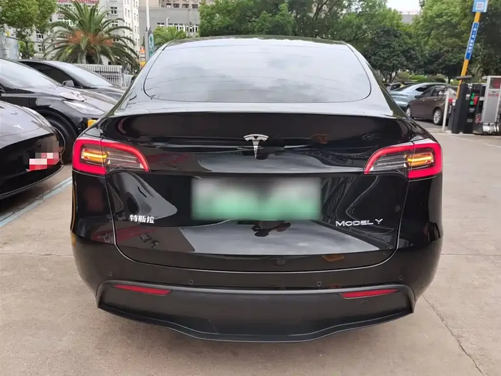 [object Object] Model Y 2021 из CN, фото 6