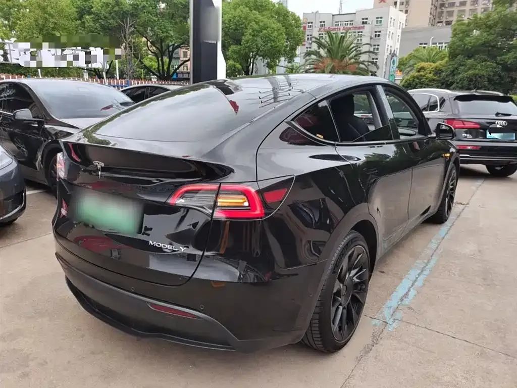 [object Object] Model Y 2021 из CN, фото 7