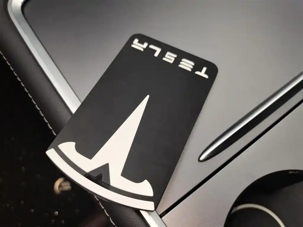 [object Object] Model Y 2021 из CN, фото 9