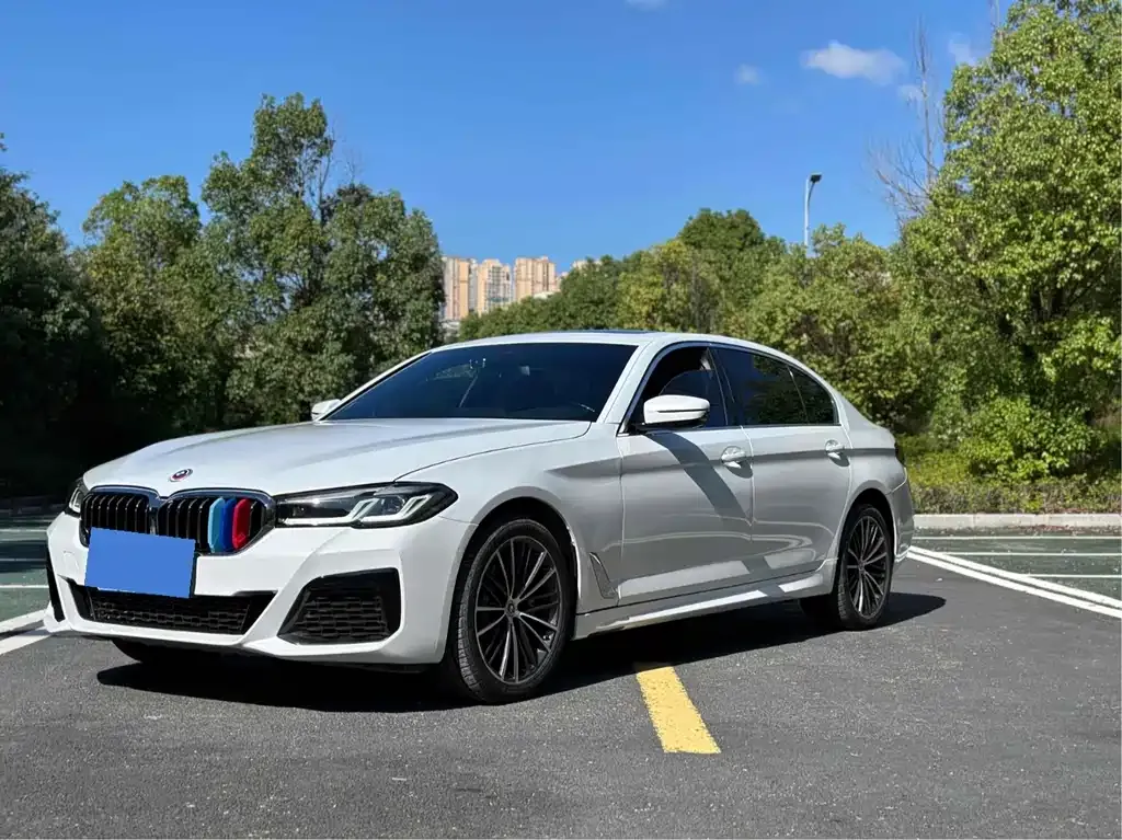 BMW 5 Series 2023 из CN, фото 1