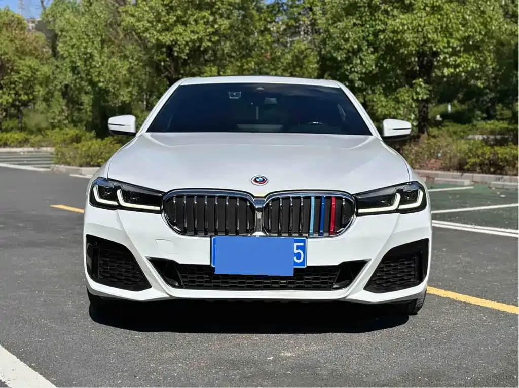 BMW 5 Series 2023 из CN, фото 2