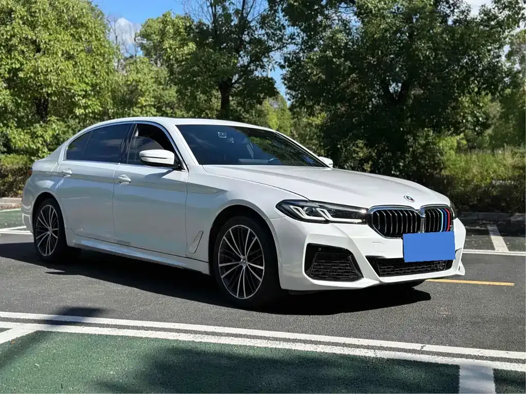 BMW 5 Series 2023 из CN, фото 3