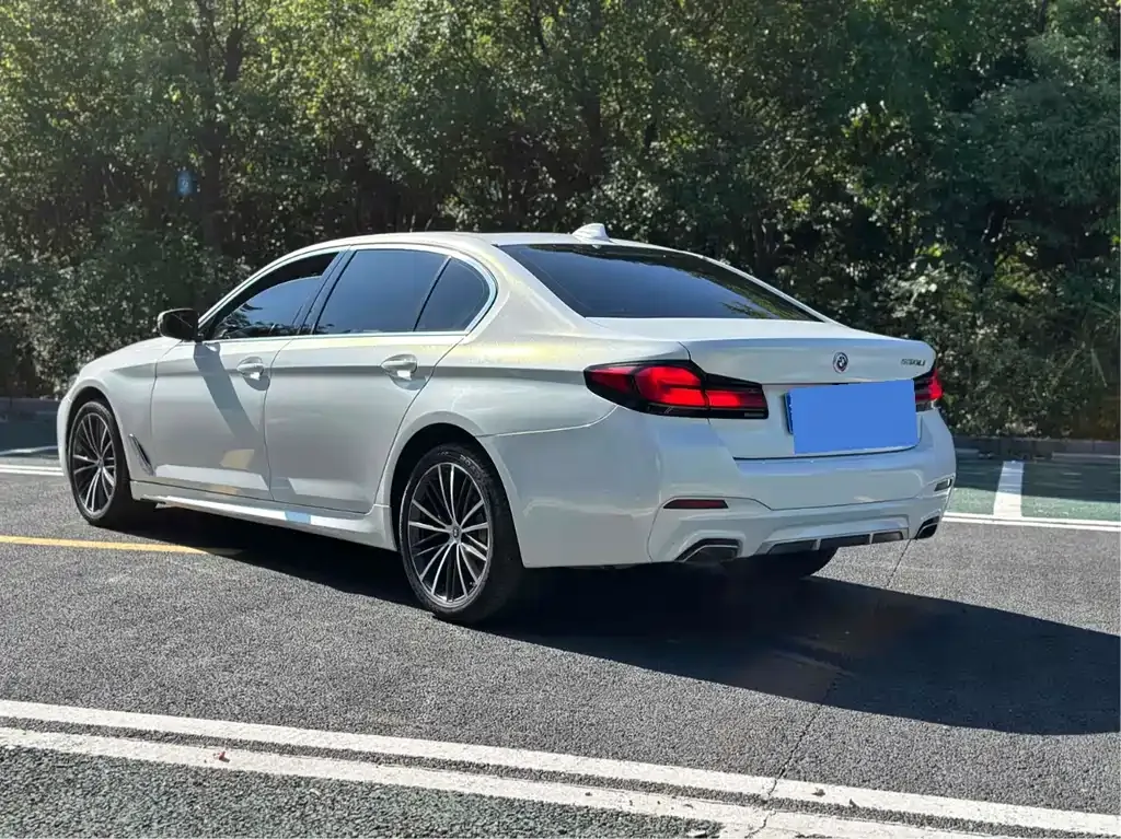 BMW 5 Series 2023 из CN, фото 4