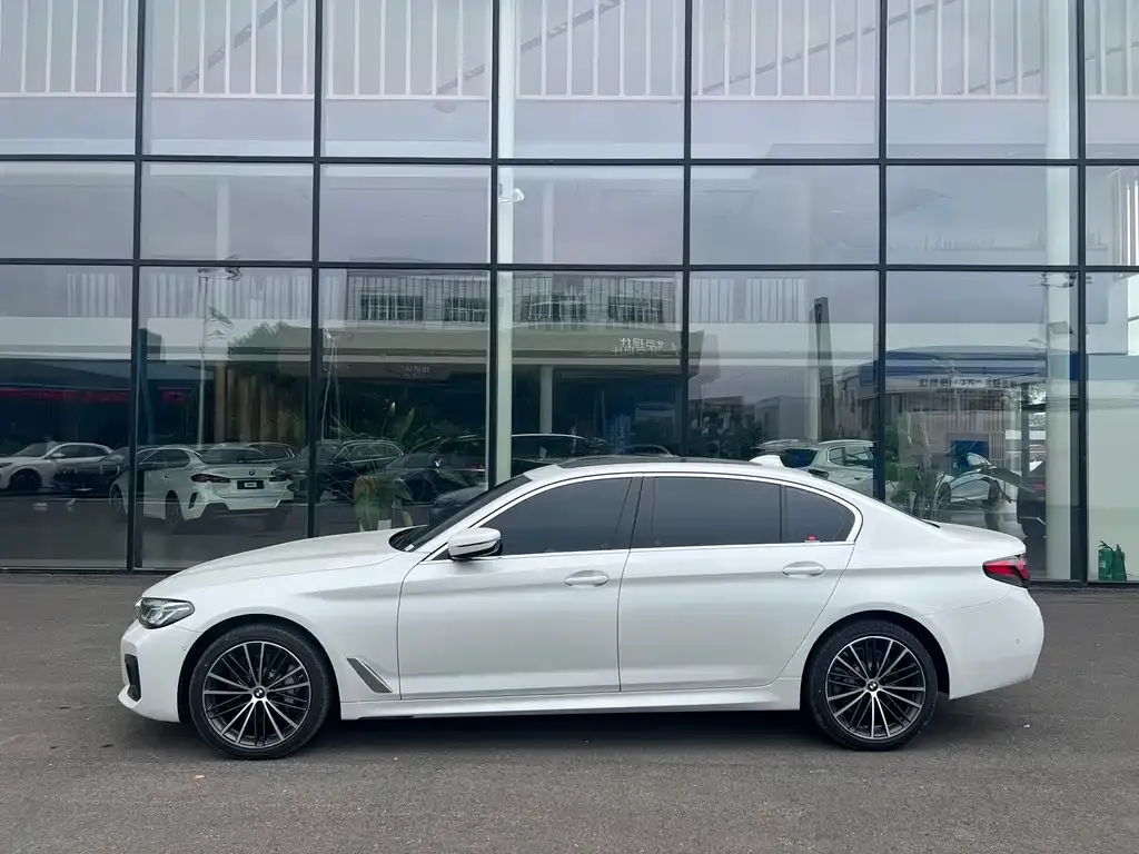 BMW 5 Series 2023 из CN, фото 2