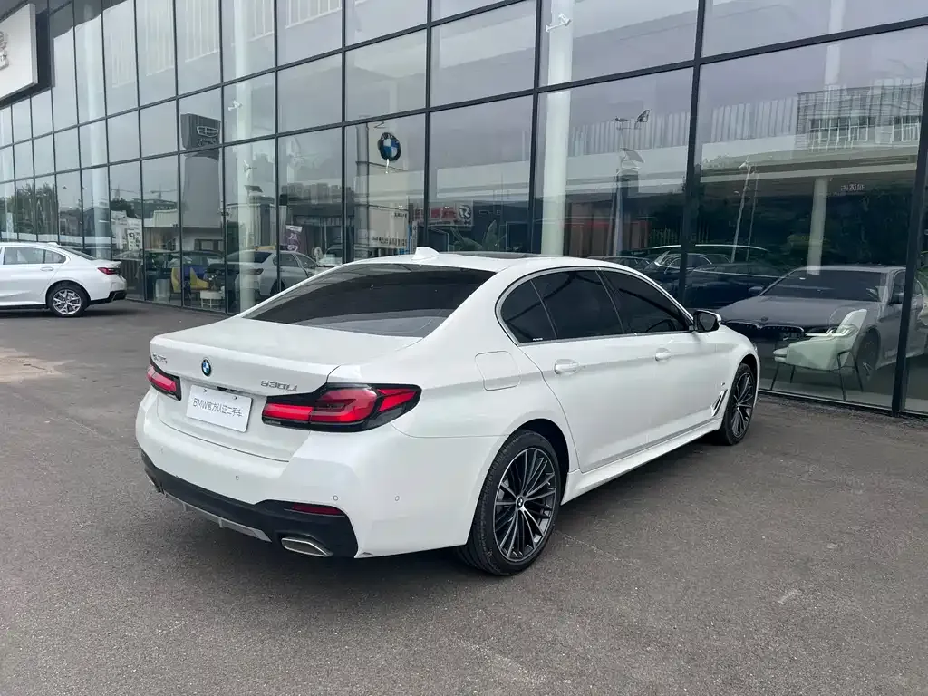 BMW 5 Series 2023 из CN, фото 3