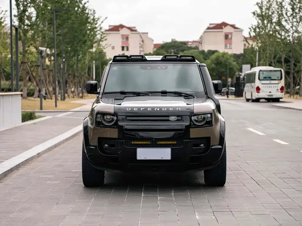 Land Rover Defender 2021 из CN, фото 2