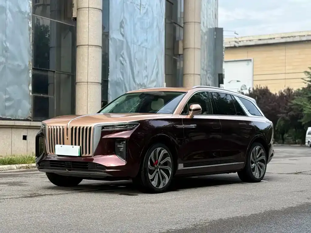 Hongqi E-HS9 2022 из CN, фото 1