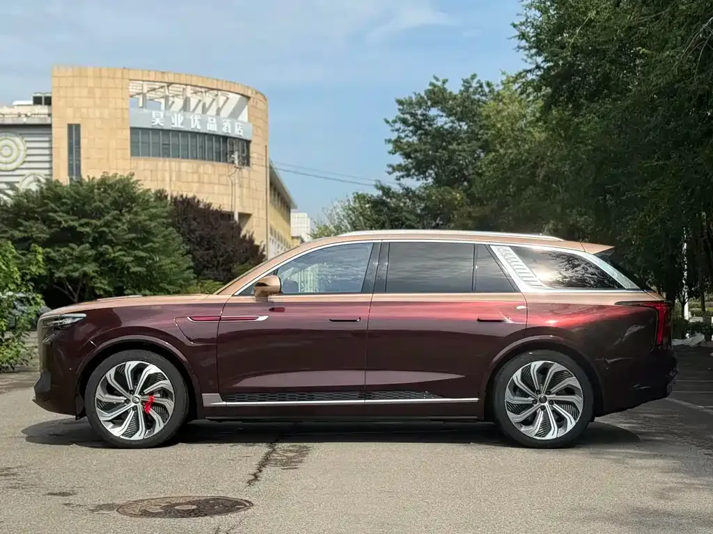 Hongqi E-HS9 2022 из CN, фото 10
