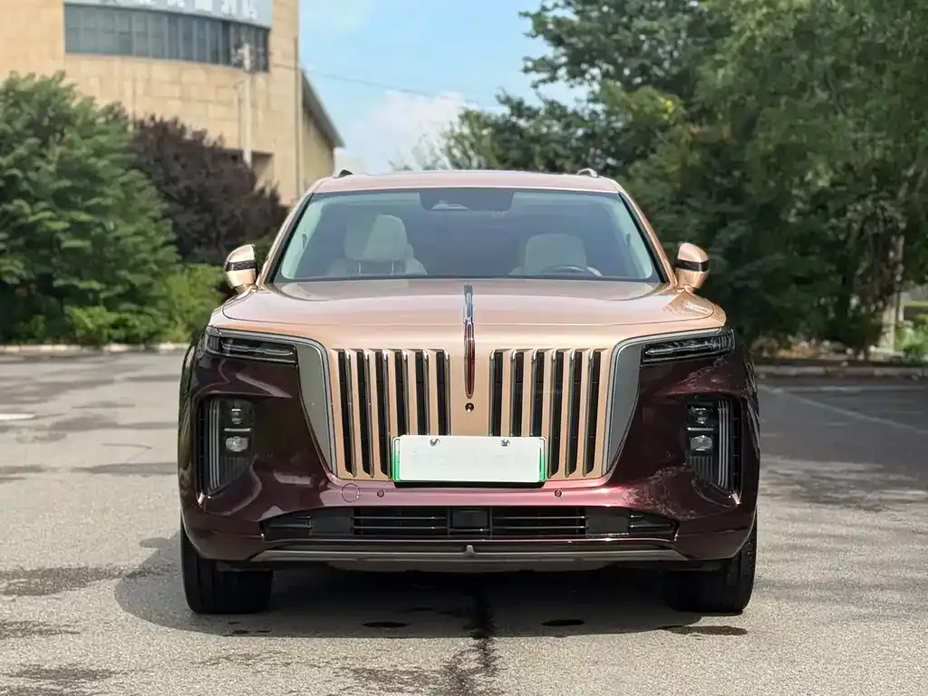 Hongqi E-HS9 2022 из CN, фото 2