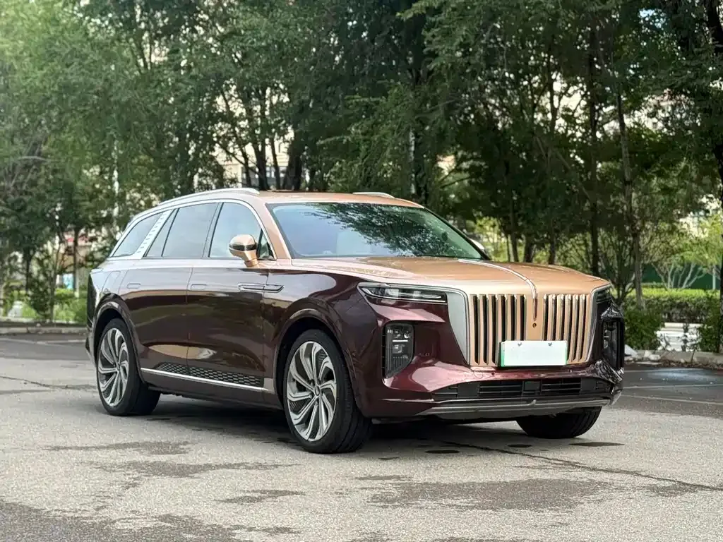 Hongqi E-HS9 2022 из CN, фото 3