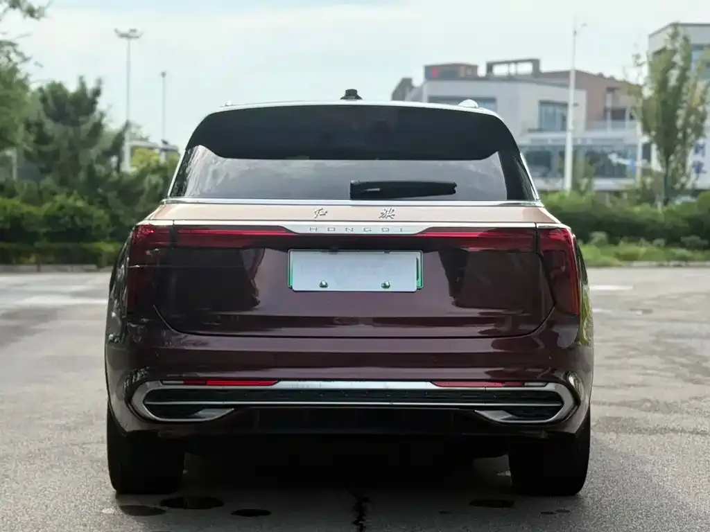 Hongqi E-HS9 2022 из CN, фото 4