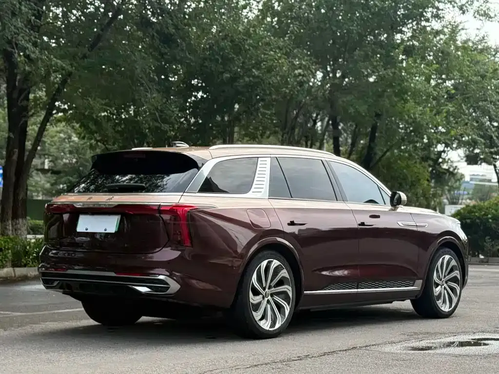 Hongqi E-HS9 2022 из CN, фото 6