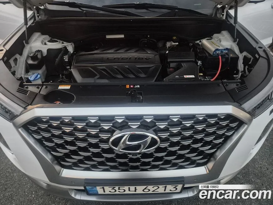 Hyundai Palisade 2021 из KR, фото 6