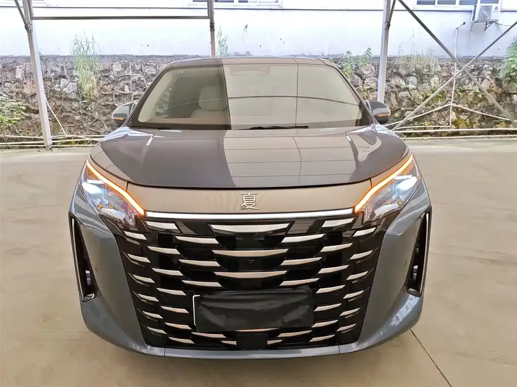 BYD Xia 2025 из CN, фото 3