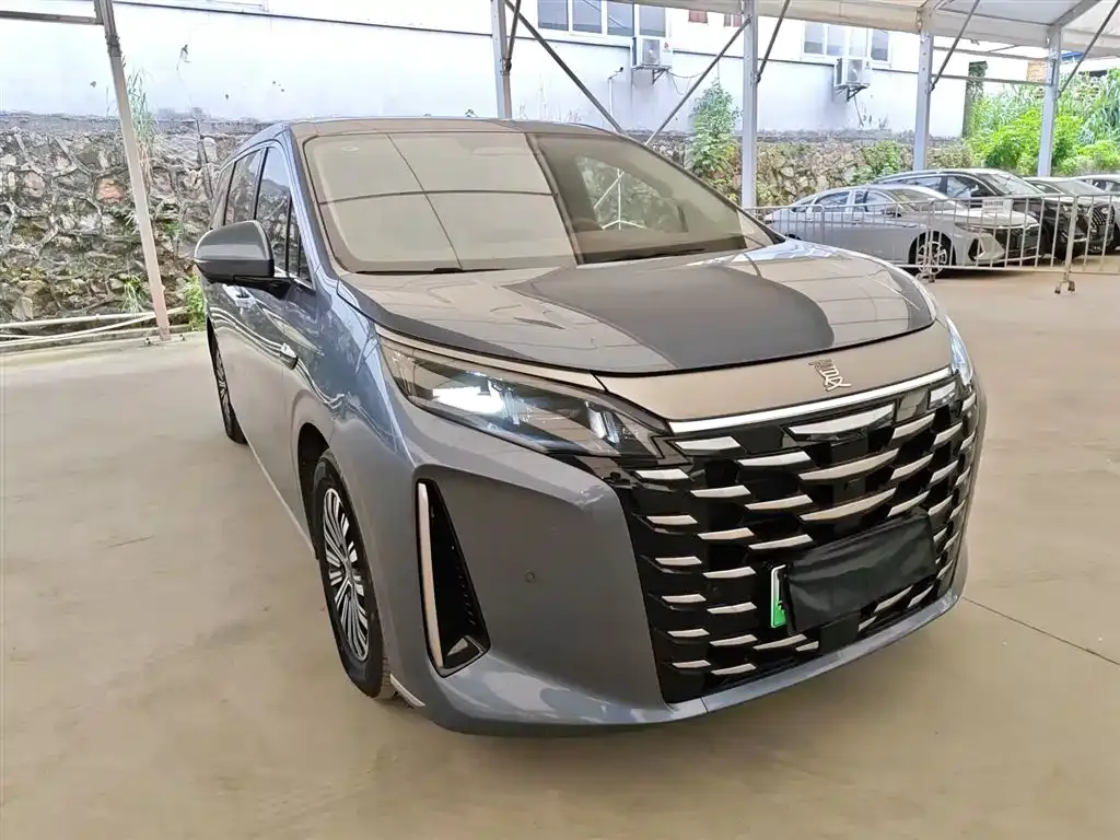 BYD Xia 2025 из CN, фото 4