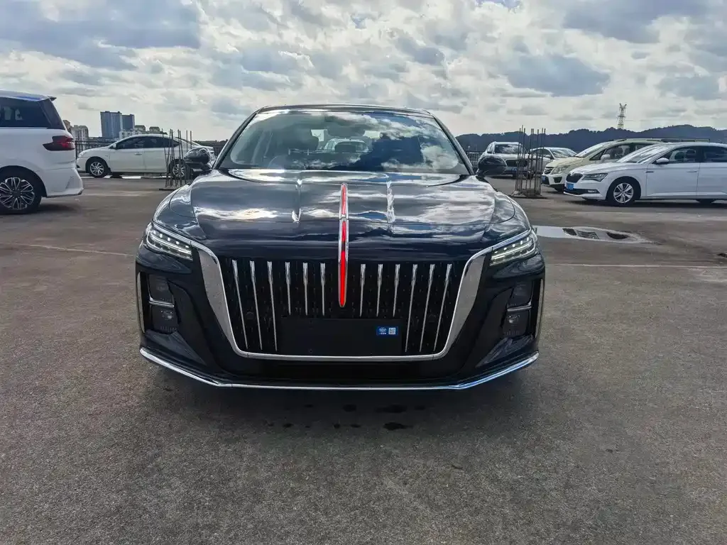 Hongqi H5 2023 из CN, фото 2