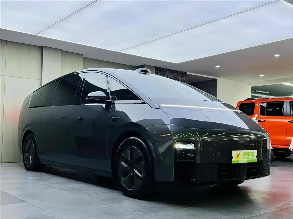 Li Auto Li MEGA 2024 из CN, фото 3