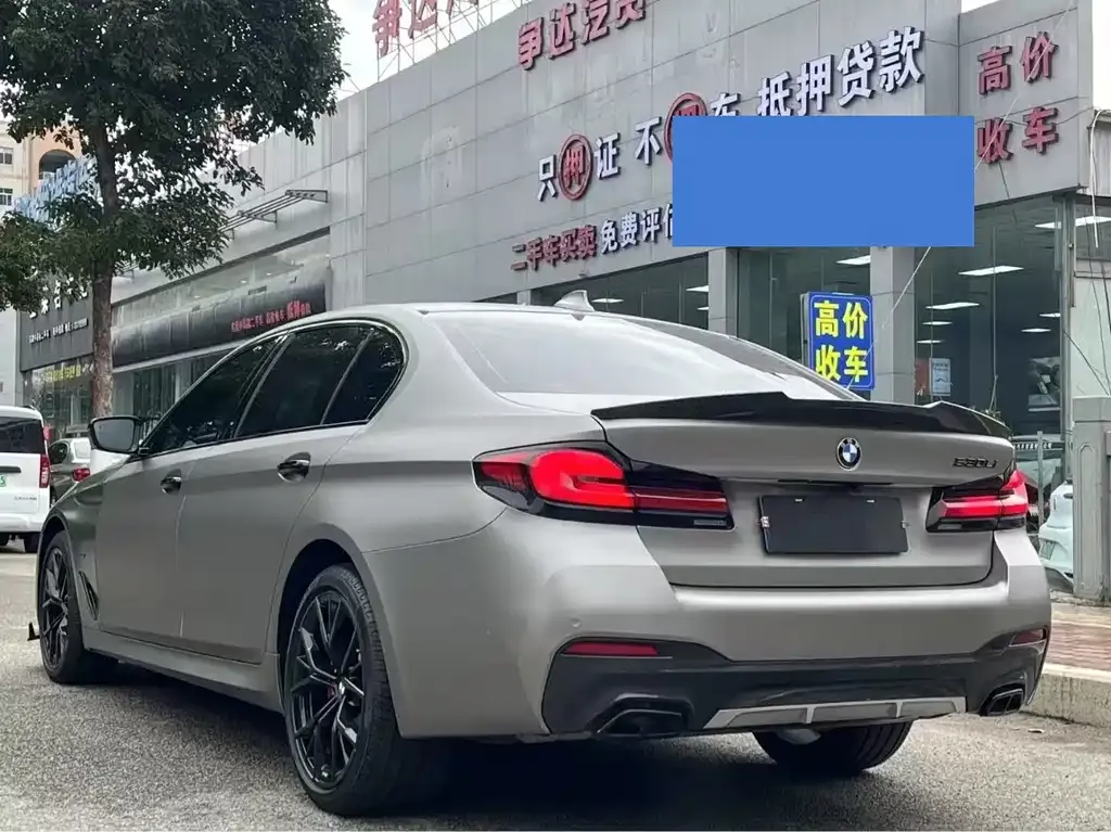 BMW 5 Series 2022 из CN, фото 7