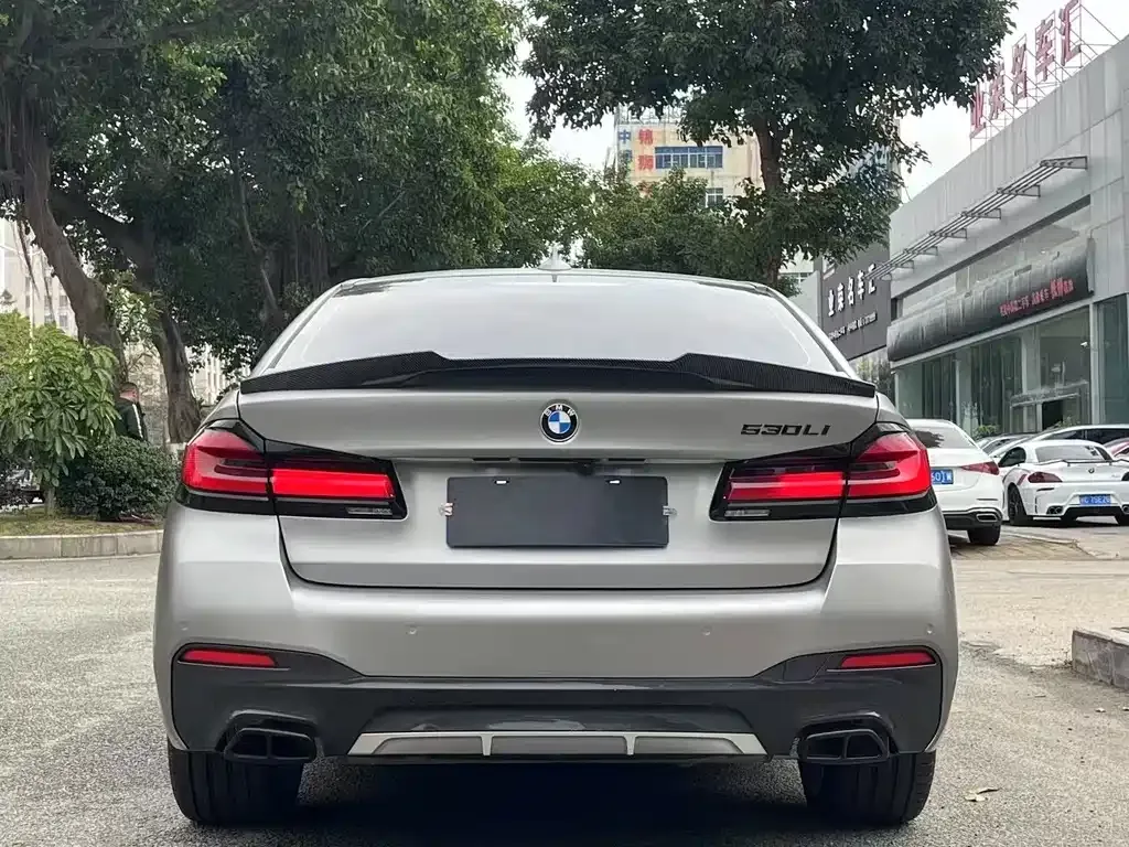 BMW 5 Series 2022 из CN, фото 8